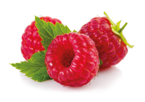 Frambozensorbet